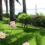 루비 아브살라르